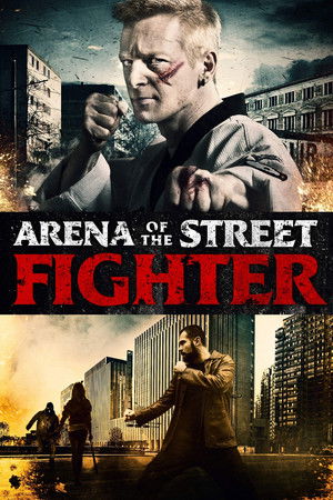 Urban Fighter (2013)