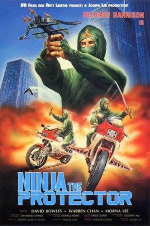 Project Ninja Daredevils (1986)