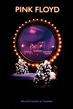 Pink Floyd Delicate Sound of Thunder (1989)