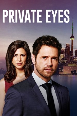 Private Eyes (TV Series 2016)