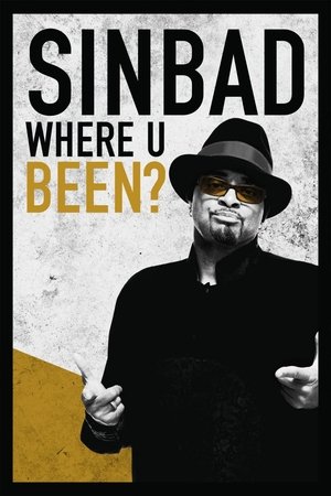 Sinbad Where U Been (2010)