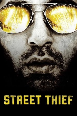 Street Thief (2006)