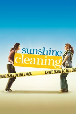 Sunshine Cleaning (2008)