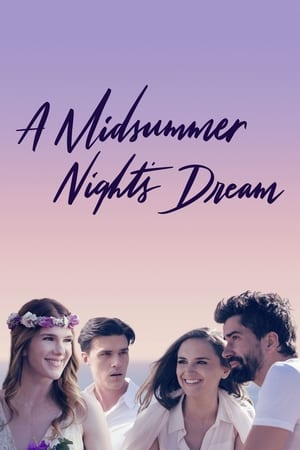 A Midsummer Nights Dream (2017)
