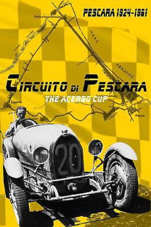 Circuito di Pescara The Acerbo Cup (2015)
