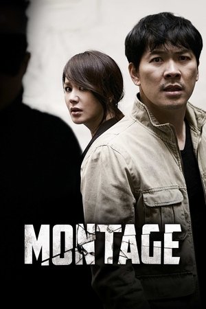 Montage (2013)