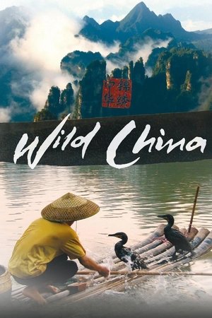 Wild China (2008 )