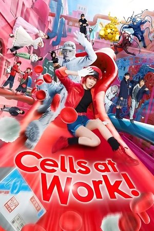 Cells at Work (2024)