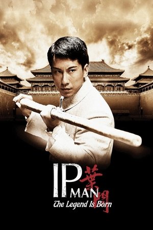 Ip Man (2010)