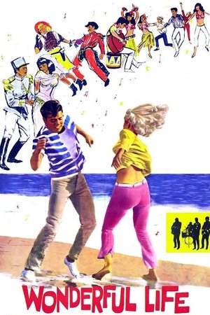 Swingers Paradise (1964)