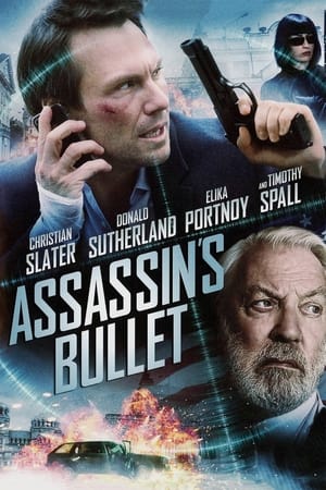 Assassins Bullet (2012)