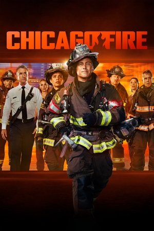 Chicago Fire (TV Series 2012 )