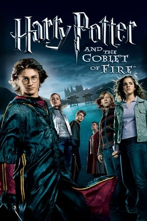 Harry Potter And The Goblet Of Fire 2005