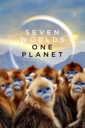 Seven Worlds, One Planet (2019 )