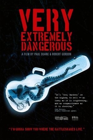 Very Extremely Dangerous (2012)