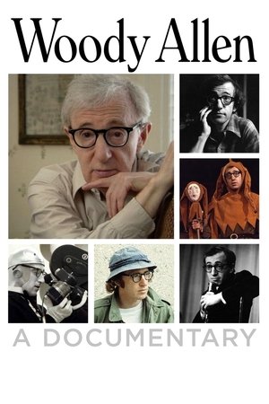 Woody Allen A Documentary (2011)