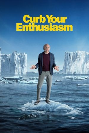 Curb Your Enthusiasm (2000 )