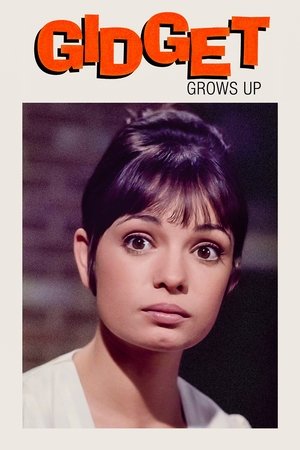 Gidget Grows Up (1969)
