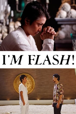 Im Flash (2012)