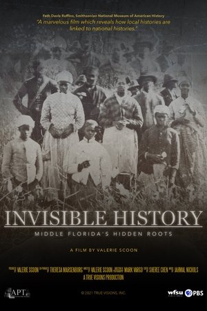 Invisible History Middle Floridas Hidden Roots (2021)