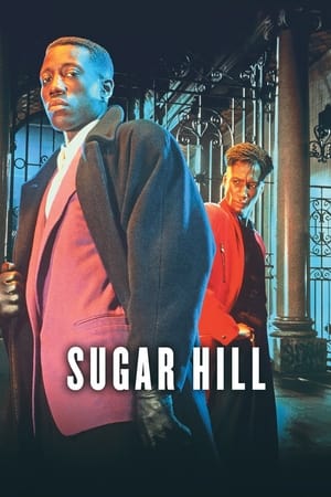 Sugar Hill 1993