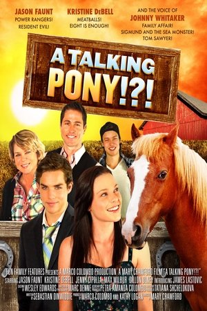 A Talking Pony (2013)