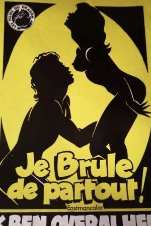 Je brule de partout (1979)