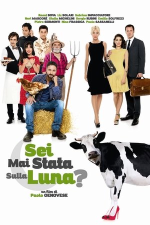 Ever Been to the Moon (2015)