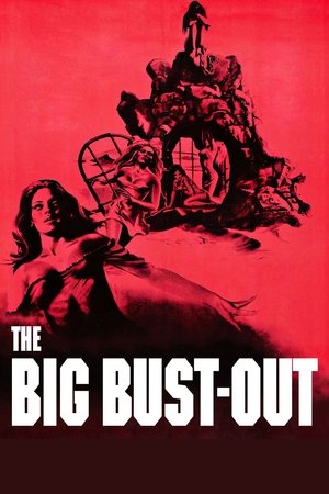 The Big BustOut (1972)