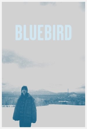 Bluebird (2013)