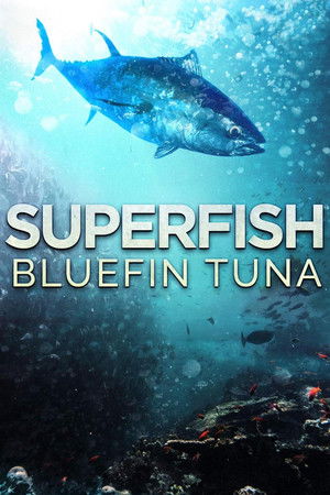 Superfish Bluefin Tuna (2012)