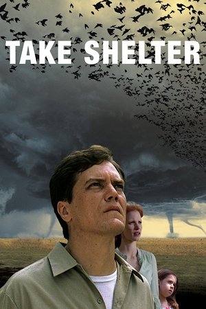Take Shelter (2011)