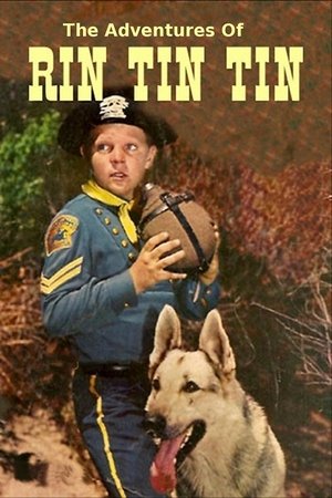 The Adventures of Rin Tin Tin (19541959)