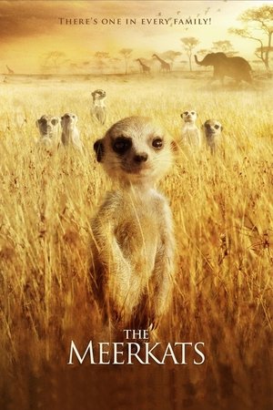 Meerkats: The Movie (2008)