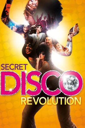 The Secret Disco Revolution (2012)
