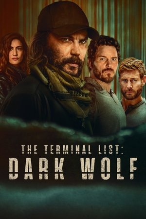 The Terminal List Dark Wolf (2025–)