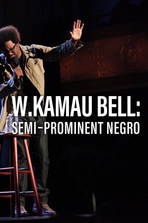 W. Kamau Bell: SemiPromenint Negro (2016)