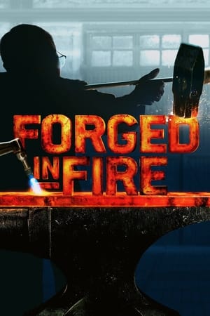 Forged in Fire (2015 )