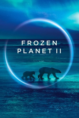 Frozen Planet II (2022-)