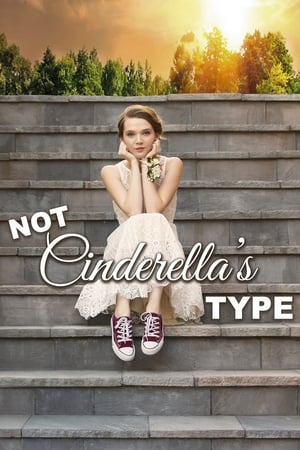 Not Cinderellas Type (2018)