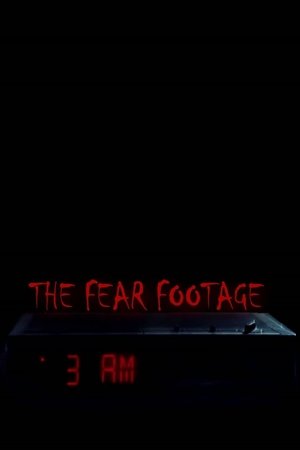 The Fear Footage: 3AM (2021)