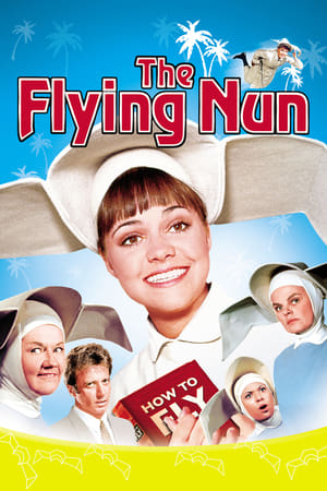 The Flying Nun (19671970)