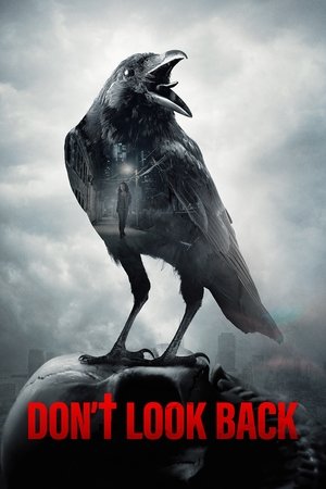 Dont Look Back (2020)