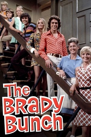 The Brady Bunch (19691974)