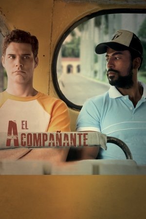 El acompaÃ±ante (2015)