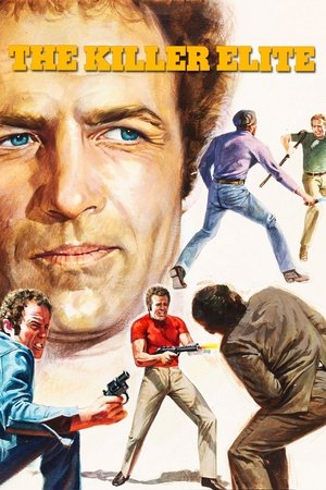 The Killer Elite (1975)