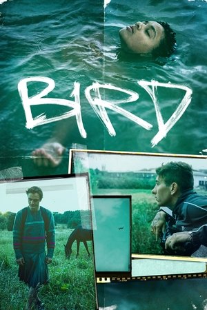 Bird (2024)
