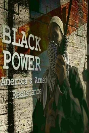 Black Power: Americas Armed Resistance (2016)