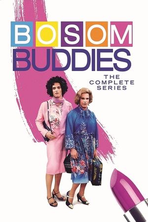 Bosom Buddies (19801982)