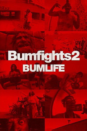 Bumfights 2 Bumlife (2003)